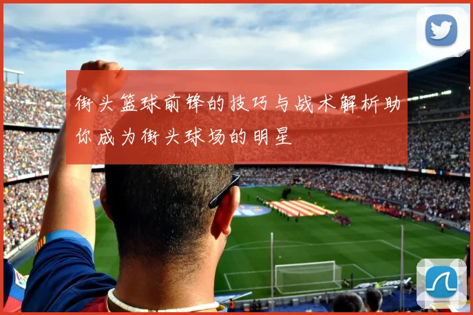 街头篮球前锋的技巧与战术解析助你成为街头球场的明星