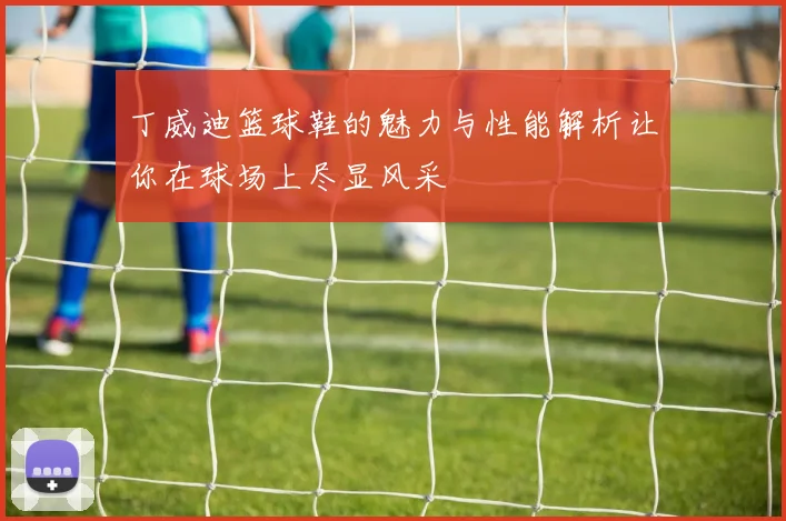 丁威迪篮球鞋的魅力与性能解析让你在球场上尽显风采