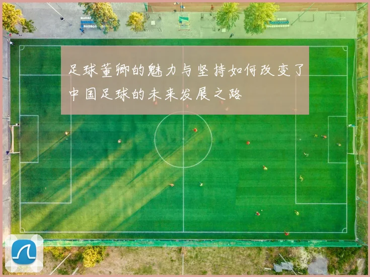 足球董卿的魅力与坚持如何改变了中国足球的未来发展之路