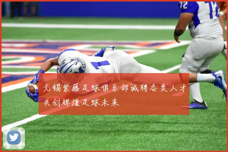 无锡紫藤足球俱乐部诚聘各类人才共创辉煌足球未来